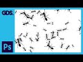 Creating Custom Brushes in Adobe Photoshop