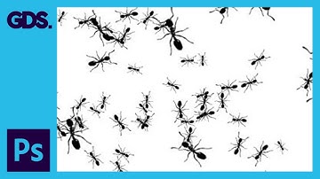 Create A Custom Brush In Adobe Photoshop