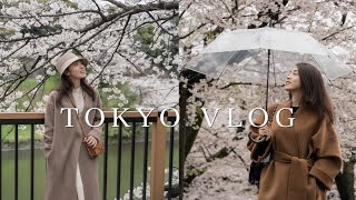 东京VLOG｜雨天的樱花美到窒息｜上野公园｜目中黑夜樱｜千鸟渊公园【Daci】