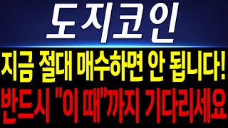 [도지코인 코인전망] 지금 절대 매수하시면 안 됩니다. 반드시 &quot;이 때&quot;까지 기다리세요!! 꼭 시청하시고 대응하셔야 합니다!