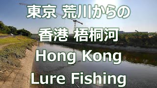 Hong Kong Lure Fishing, Tilapia (香港釣魚, 羅非魚, 香港ルアー釣り, ティラピア)