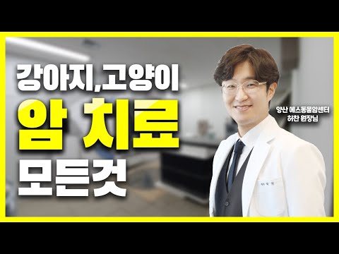 강아지, 고양이 암 치료의 모든것 | 벳터뷰 EP.03-1