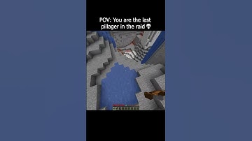 POV: You are the LAST pillager in a raid