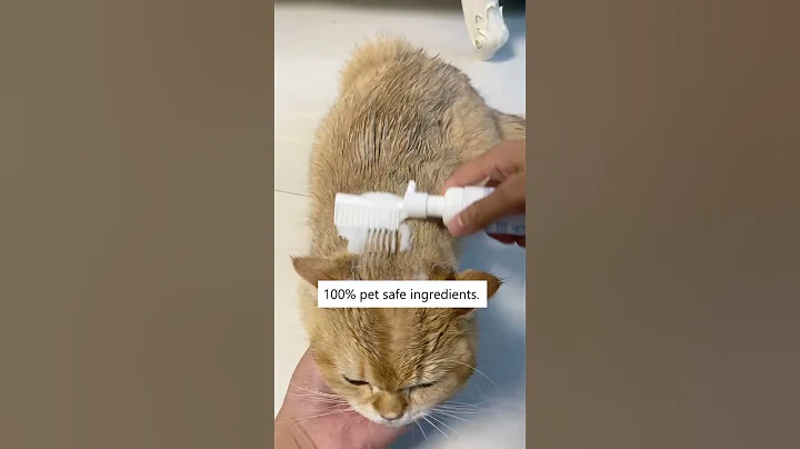 Watch the video about Cat Showering Became EFFORTLESS! 💫🙀