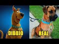 10 Perros de caricaturas que existen en la vida real parte1