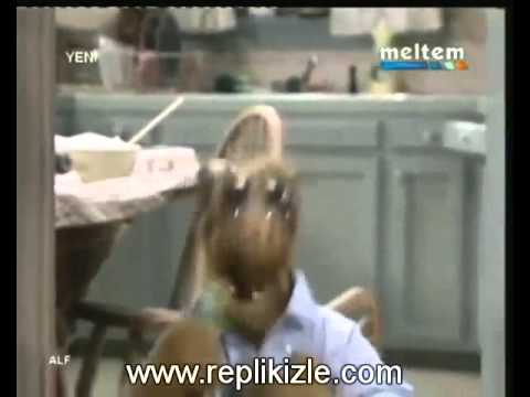 Alf Kediyi Yemeğe Hazırlanırken Yakalanıyor