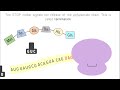 Protein Synthesis Quiz