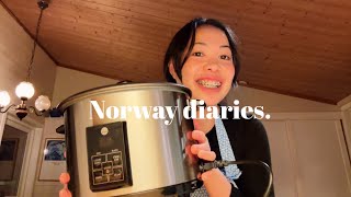 NORWAY DIARIES | speaking Norwegian for 24 hours, cooking, new hair style, ENG SUBS