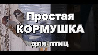 Самодельная Кормушка для Птиц из пластиковой бутылки своими руками
