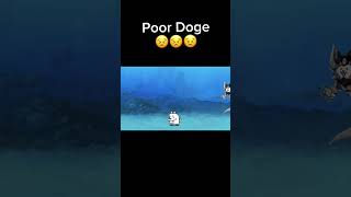 Bro Cant Catch A Break Battle Cats