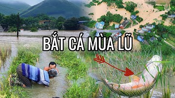 Trận Mưa Lũ Lịch Sử Tại Thái Nguyên: Cùng Mọi Người Đi Bắt Cá Và Cái Kết