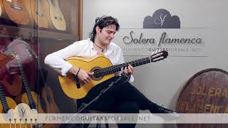 Luciano Ghosn in Solera Flamenca: "NADIE LO SABIA" Farruca