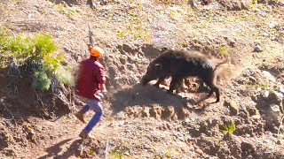 Chasse Aux Sanglier - BEST Wild Boar Hunting (wed Rkel) Caccia cinghiali