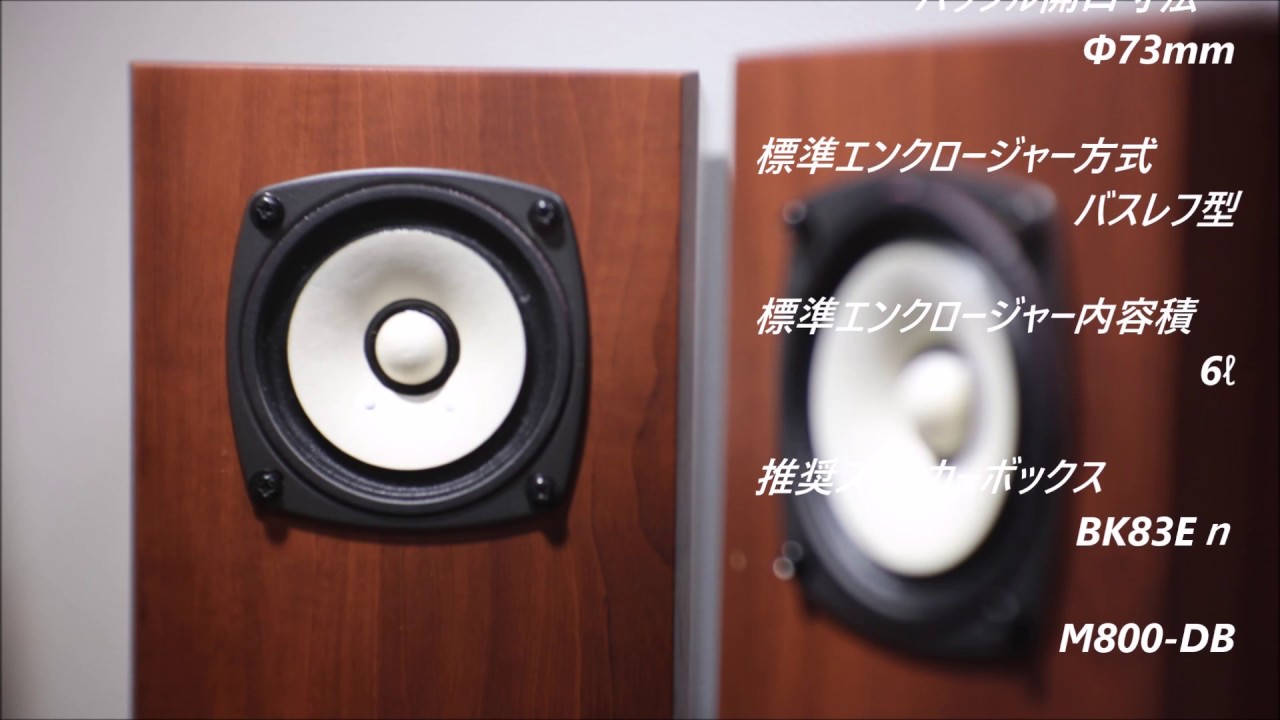 Fostex Fe83en 純正ダブルバスレフ M800-DB 真空管アンプ♪ Guitar for