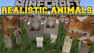 Minecraft: Realistic Animals Mod (Poop, Diseases, Starvation, & More!) -  Youtube