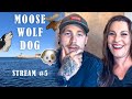 Moose, Wolf & Dog - Instagram Live Stream #5 ft. Hannes van Dahl