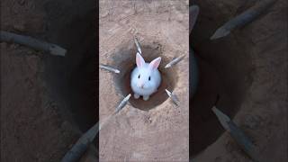 Bushcraft Skills: Simple And Useful Ideas In Forest #outdoors #bushcraft #survival #camping #shorts