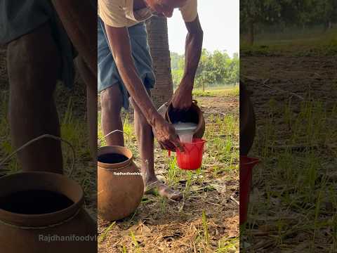 100% Natural Palm