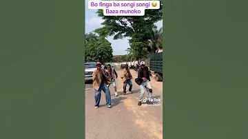 Songi Songi 