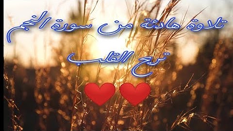 اجمل تلاوة هادئة من سورة النجم ❤️❤️