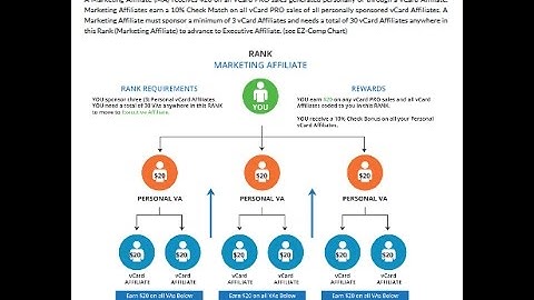 VCARD Global Comp Plan Explained | Easy to Understand