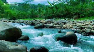 Mountain River Flowing & Waterfall Sounds 24/7. Nature Sounds White Noise for Deep Sleep, Relax #3