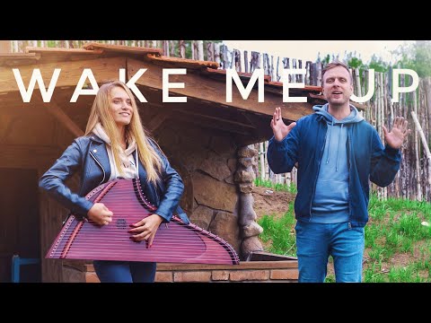 Avicii - Wake Me Up (gusli cover/кавер на гуслях)