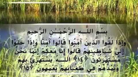 Moustafa Haredy  El Baqarah Ayah 14-16 | مصطفى هريدى - سورة البقرة - من أية 14 -16
