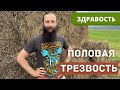 Половая трезвость