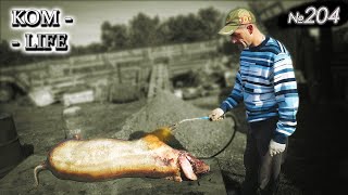 видео:  картинка: