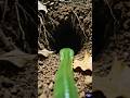 “Snake POV Camera 😱 Saanp ke Bil ke Andar Kya Mila? | Realistic Ritual Mystery”#viral #shorts