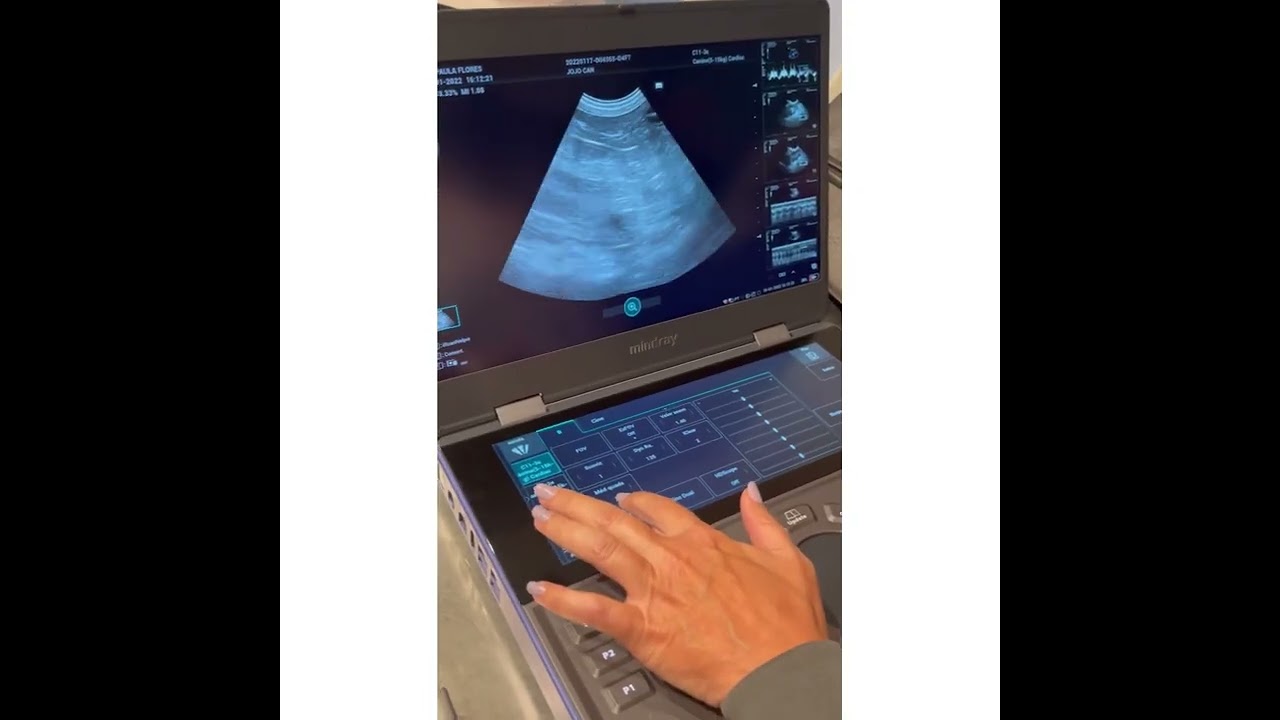 Mindray Vetus E7. Minha primeira entrega técnica.