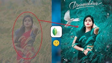 Snapseed Green And Bird Effect Photo Editing Tutorial | Snapseed Background Colour Change Tricks