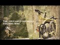 Birdy GT: Built for the Brave