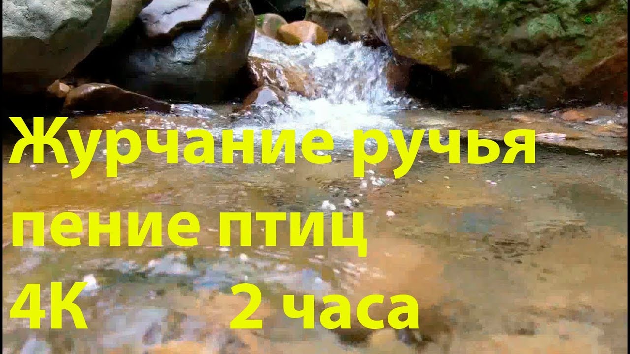 Музыка шум воды слушать. Журчание ручья и пение птиц. Звук журчания ручья. Журчание воды ручей. Релакс журчанье воды.