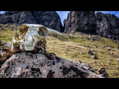 Moonsorrow - Raunioilla