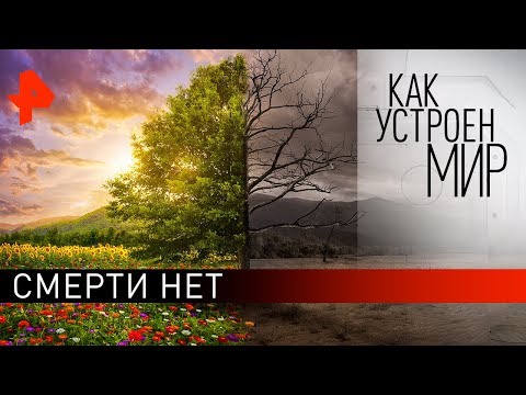 Смерти нет. «Как устроен мир" с Тимофеем Баженовым (06.04.20).