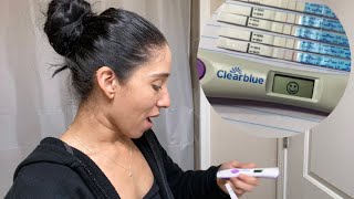 LIVE OVULATION TEST CYCLE DAY 10 | flashing positive, high fertility!