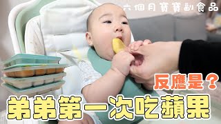 弟弟六個月都吃什麼副食品！吃蘋果的反應好可愛❤️❤️❤️｜小小Q成長日記｜絕代雙Q