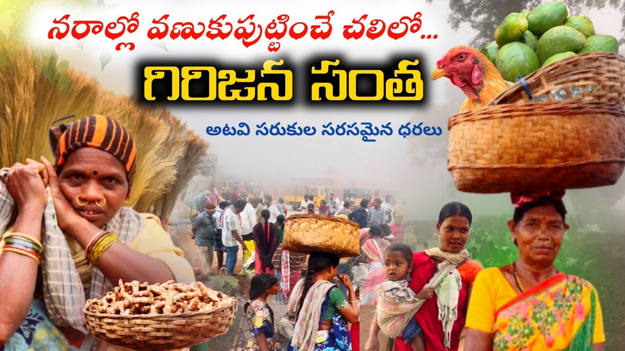 దట్టమైన చలి మంచులో లంబసింగి గిరిజన సంత | seasonal market | Telugu Vlog #lambasingi@Tribal-planet 