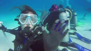 Neal Watson Scuba