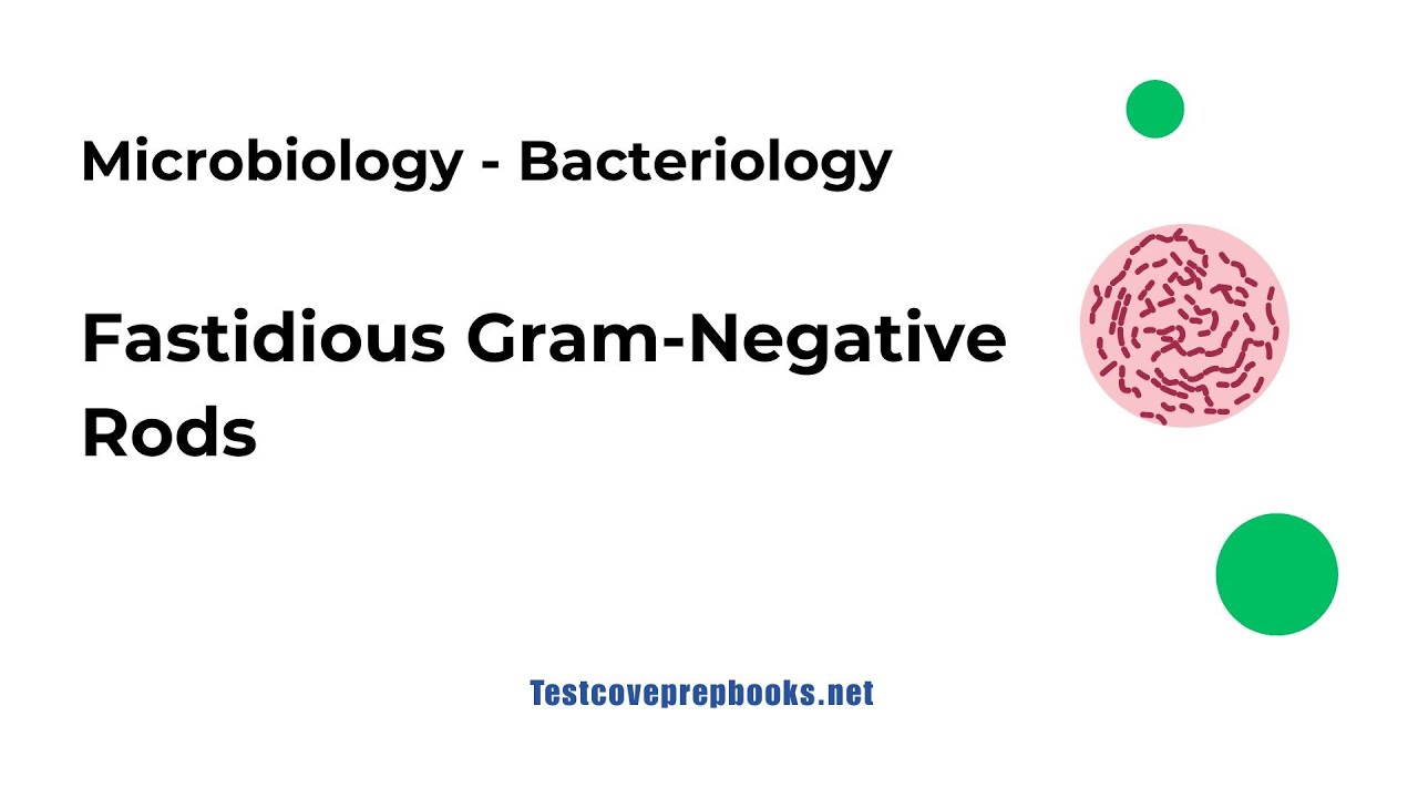 Fastidious Gram Negative Rods | Bacteriology | ASCP MLS Prep