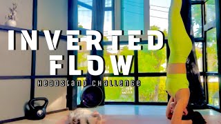 5 Min Yoga Challenge: How to Practice a Headstand | Inversion Yoga Flow Advanced Level