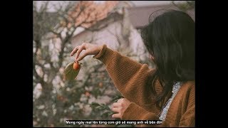 Video thumbnail of "Xuân Hạ Thu Đông Rồi Lại Xuân / Ái Phương (Lyrics)"