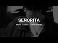 Shawn Mendes, Camila Cabello - Señorita (lyrics)