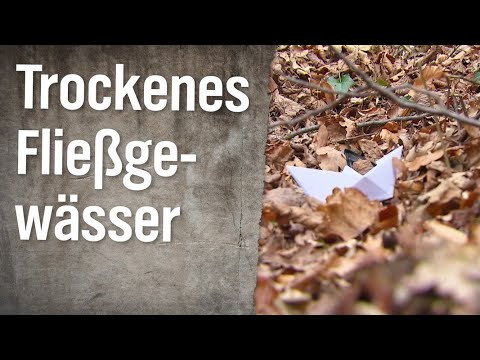 Realer Irrsinn: Trockenes Fließgewässer | extra 3 | NDR