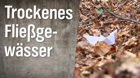 Realer Irrsinn: Trockenes Fließgewässer | extra 3 | NDR