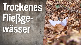 Realer Irrsinn: Trockenes Fließgewässer
