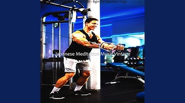 Swanky Koto and Strings - Vibe for Pure Meditation