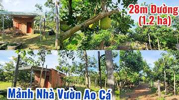 Nhà Vườn Ao Cá Chính chủ 28m Đường (1.2ha)trên đất có cao su .tiêu .điều giá 1.4 tỉ bao sổ 